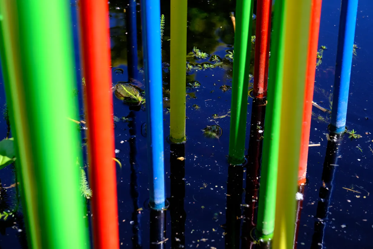 Featured image of post Bienvenue sur mon site internet !